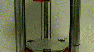 sliced light color  1